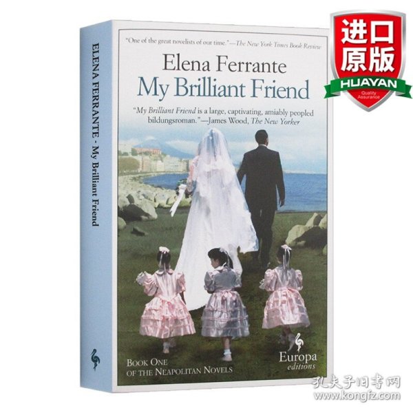 My Brilliant Friend：Neapolitan Novels, Book One