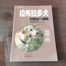 拉布拉多犬的赏玩与训练