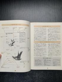 英语図详大辞典（有函盒）