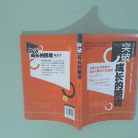 正版实拍 突破成长的困境 再造成长型企业持续增长