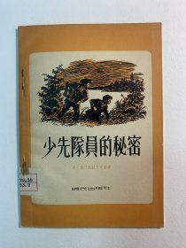 少先队员的秘密