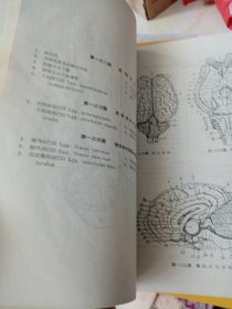 马体系统解剖图(合订本)=祝寿康编-畜牧兽医图书出版社-1955年初版