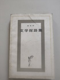 文学探路集