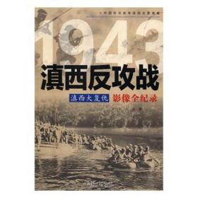 滇西大复仇:滇西反攻战影像全纪录 中国军事 卢兴顺，刘波 新华正版