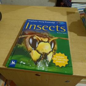 INSECTS