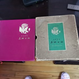 美丽日记
