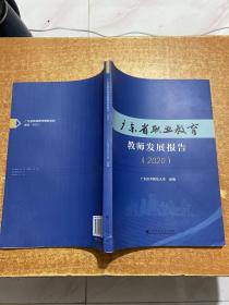 广东省职业教育教师发展报告（2020）