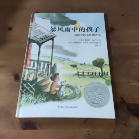 暴风雨中的孩子：美国凯迪克银奖作品