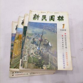新民围棋1999年（1-12）合售