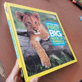 First Big Book of Animals 英文原版