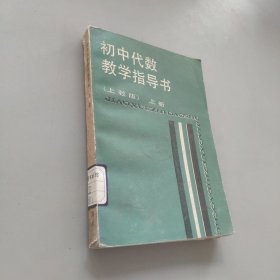 初中代数教学指导书上册