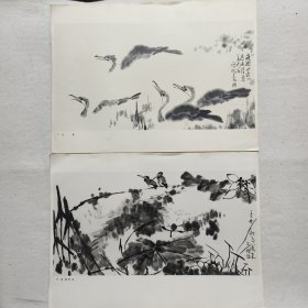 李苦禅画页<七幅>