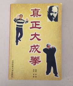 真正大成拳