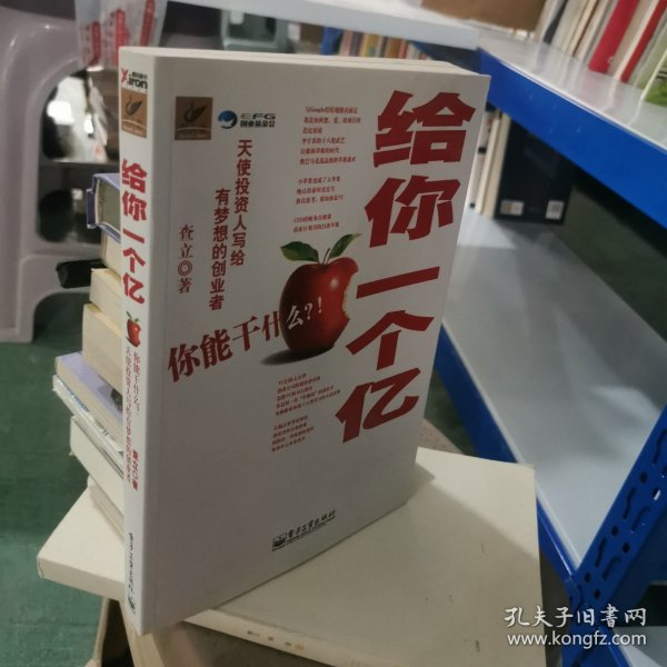 给你一个亿：天使投资人写给有梦想的创业者