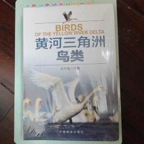 黄河三角洲鸟类