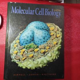 Molecular Cell Biology /James E. Darnell Scientific Americ..
