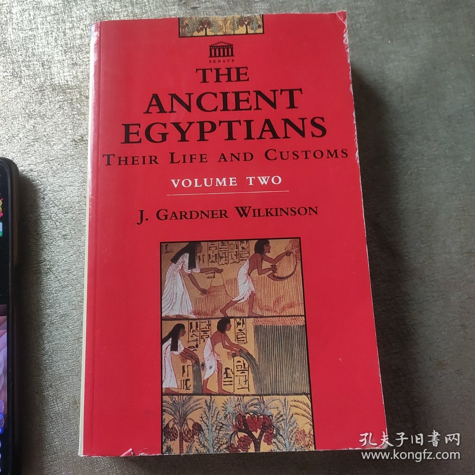 The Ancient Egyptians, their life and customs 古埃及人的生活与习俗