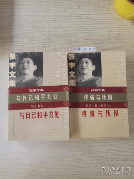 张宇文集:疼痛与抚摸+与自己和平共处(2册合售)