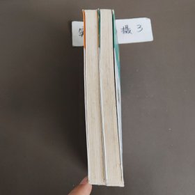 丁丁当当：4山那边还是山，7蚂蚁象（两本合售）