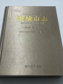 塔城市志1986-2005。无盘