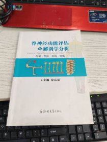 脊神经功能评估与解剖学分析 徐高磊签名