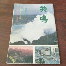 共鸣（1986年，创刊号）