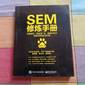 SEM修炼手册：百度竞价、信息流广告、数据分析与专题页策划实战详解