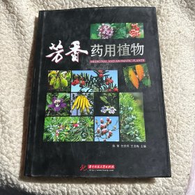 芳香药用植物