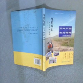 為愛遠(yuǎn)征 從玉樹到山南/私體驗旅行叢書