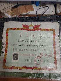 1965年山东省汶上县第一中学毕业证书