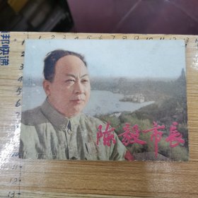 电影连环画：陈毅市长