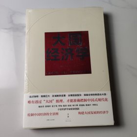 大国经济学：面向长期、全局、多维的中国发展（系统解读中国经济的通识之作，陆铭、杨汝岱等十位一流经济学家协力打造，构建理解当代中国发展的新常识）