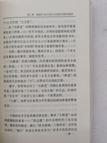 审视中国(现代化进程的政治经济分析)