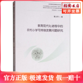 教育现代化进程中的农村小学可持续发展问题研究