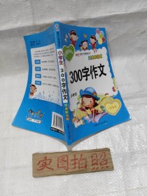 小学生300字作文