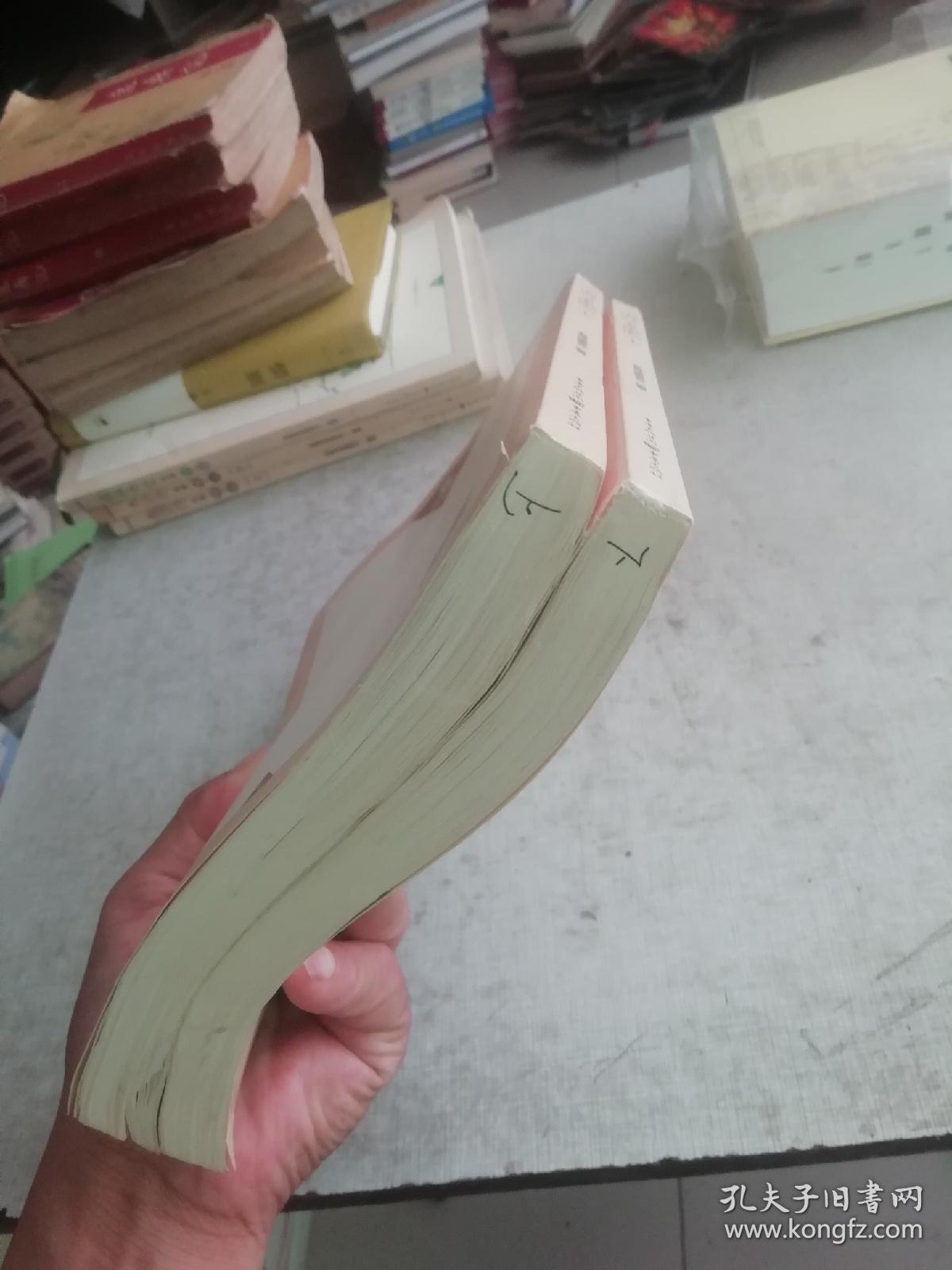 水浒传名著导＋读 （上下）