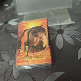 毛宁 大浪淘沙 磁带