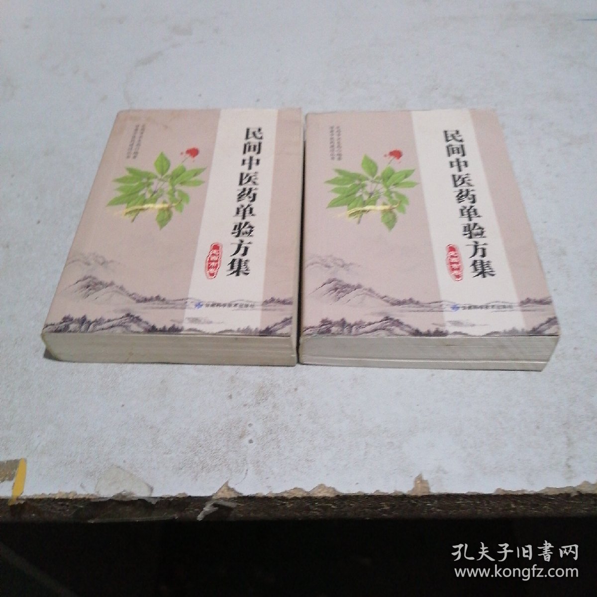 民间中医药单验方集  定西市卷