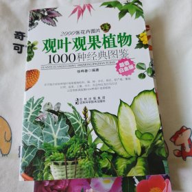 观叶观果植物1000种经典图鉴（超值白金版）