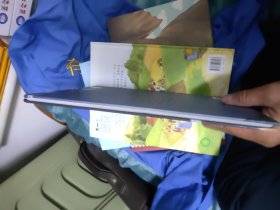 引进丹麦《安徒生童话绘图本》-野天鹅 [西班牙]胡安?迪亚兹-托莱多/插图H1