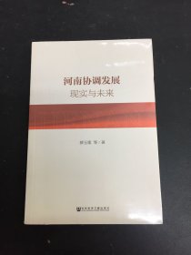 河南协调发展 现实与未来