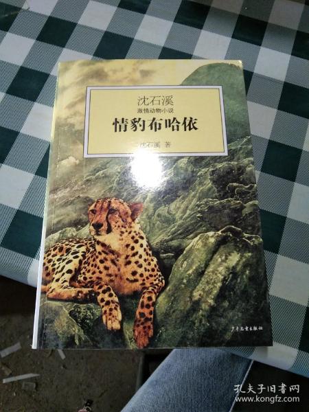 情豹布哈依：沈石溪激情动物小说