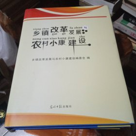 乡镇改革发展与农村小康建设(全三卷)