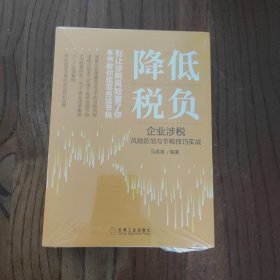 降低税负：企业涉税风险防范与节税技巧实战 (塑封未撤封)