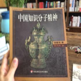 中国知识分子精神