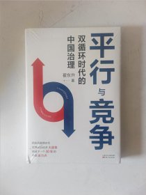 平行与竞争：双循环时代的中国治理