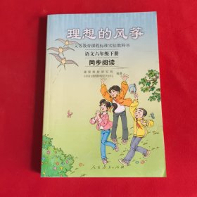 理想的风筝 语文六年级下册 同步阅读：语文6年级