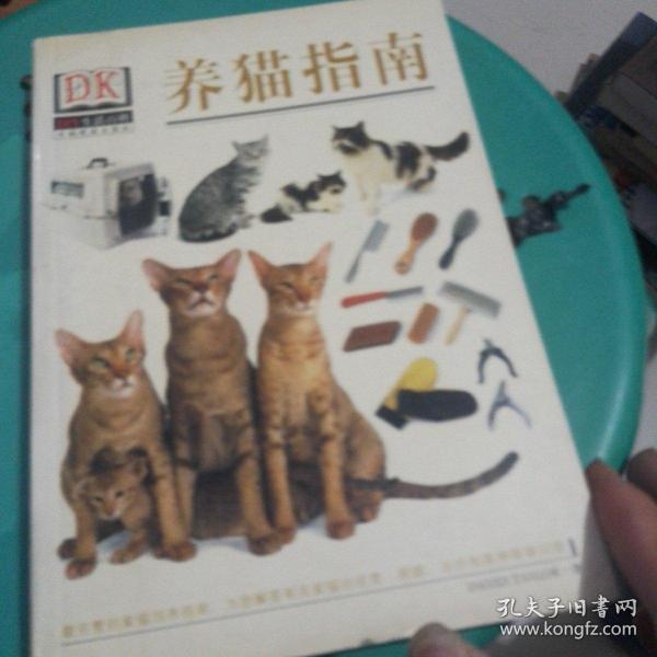 养猫指南