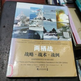 两栖战：战略·战术·战例
