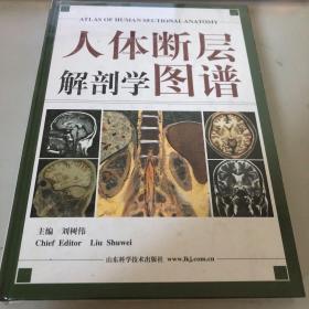 人体断层解剖学图谱